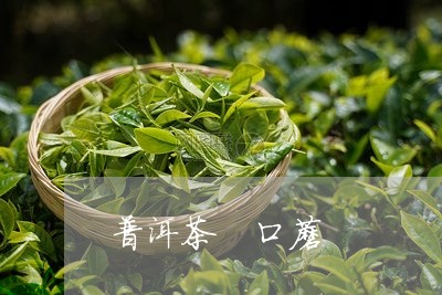 普洱茶 口蘑/2023042832431